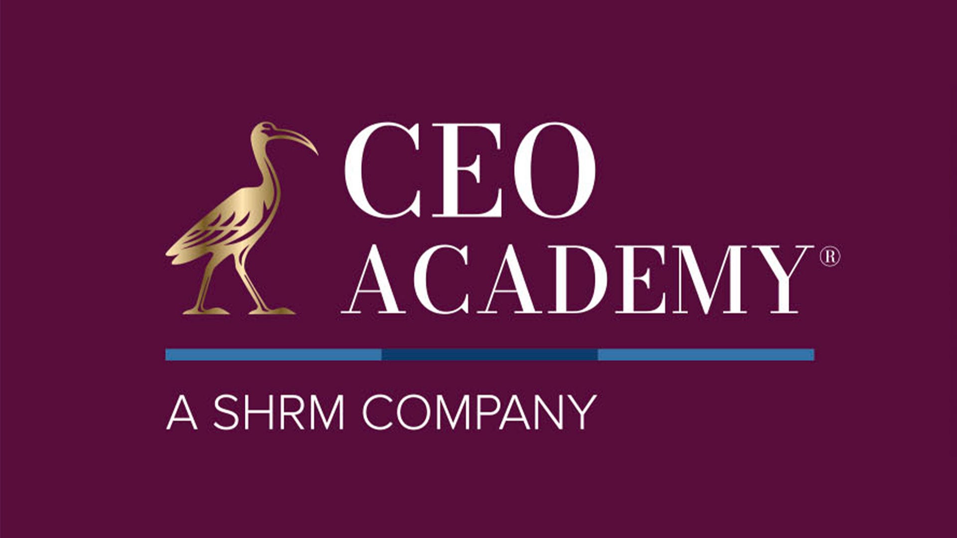 CEO Academy Logo