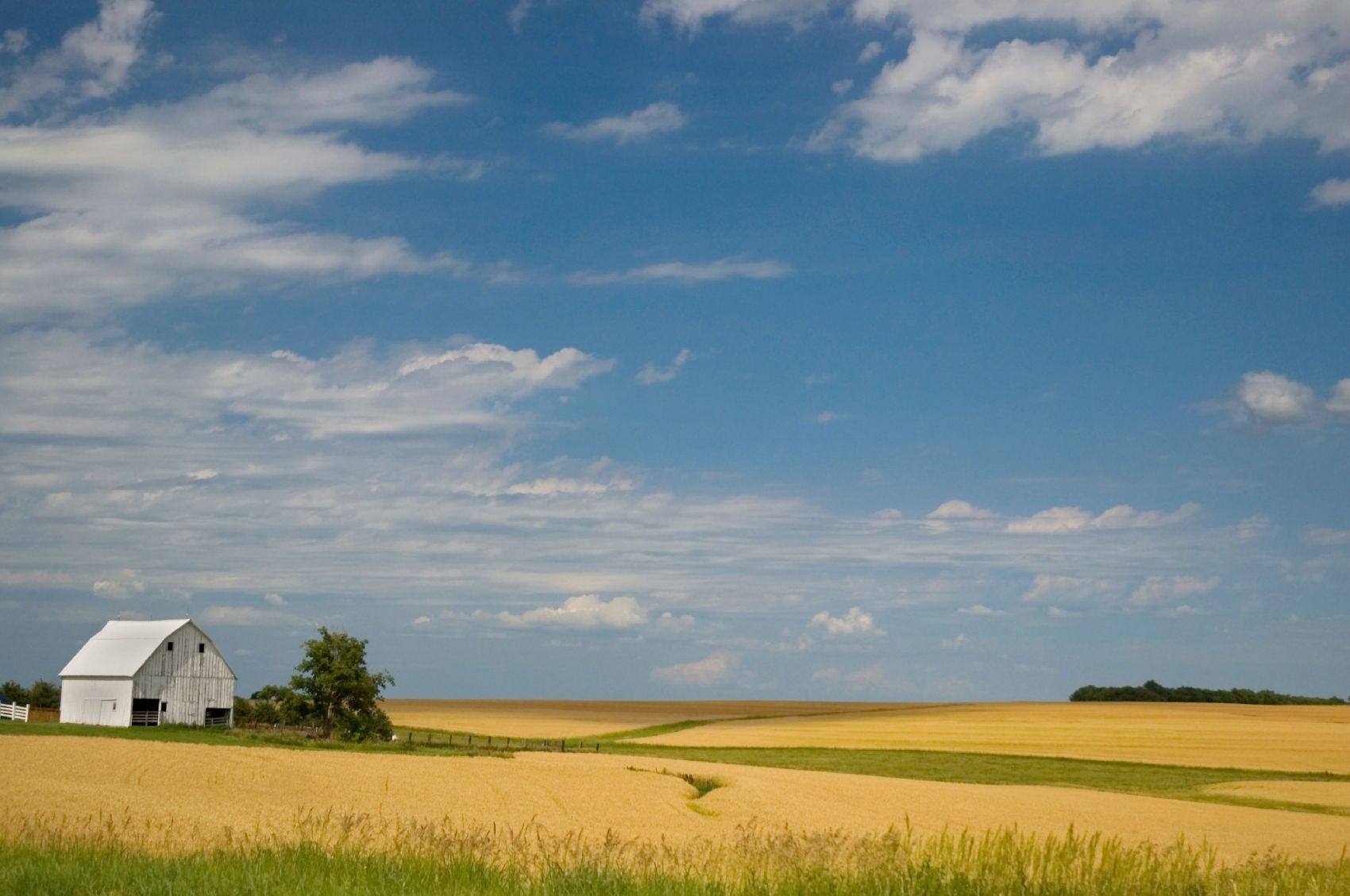 Small house in the middle of a field