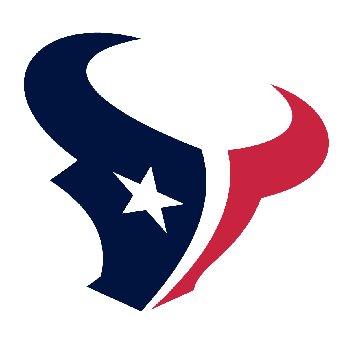 Houston Texans Logo