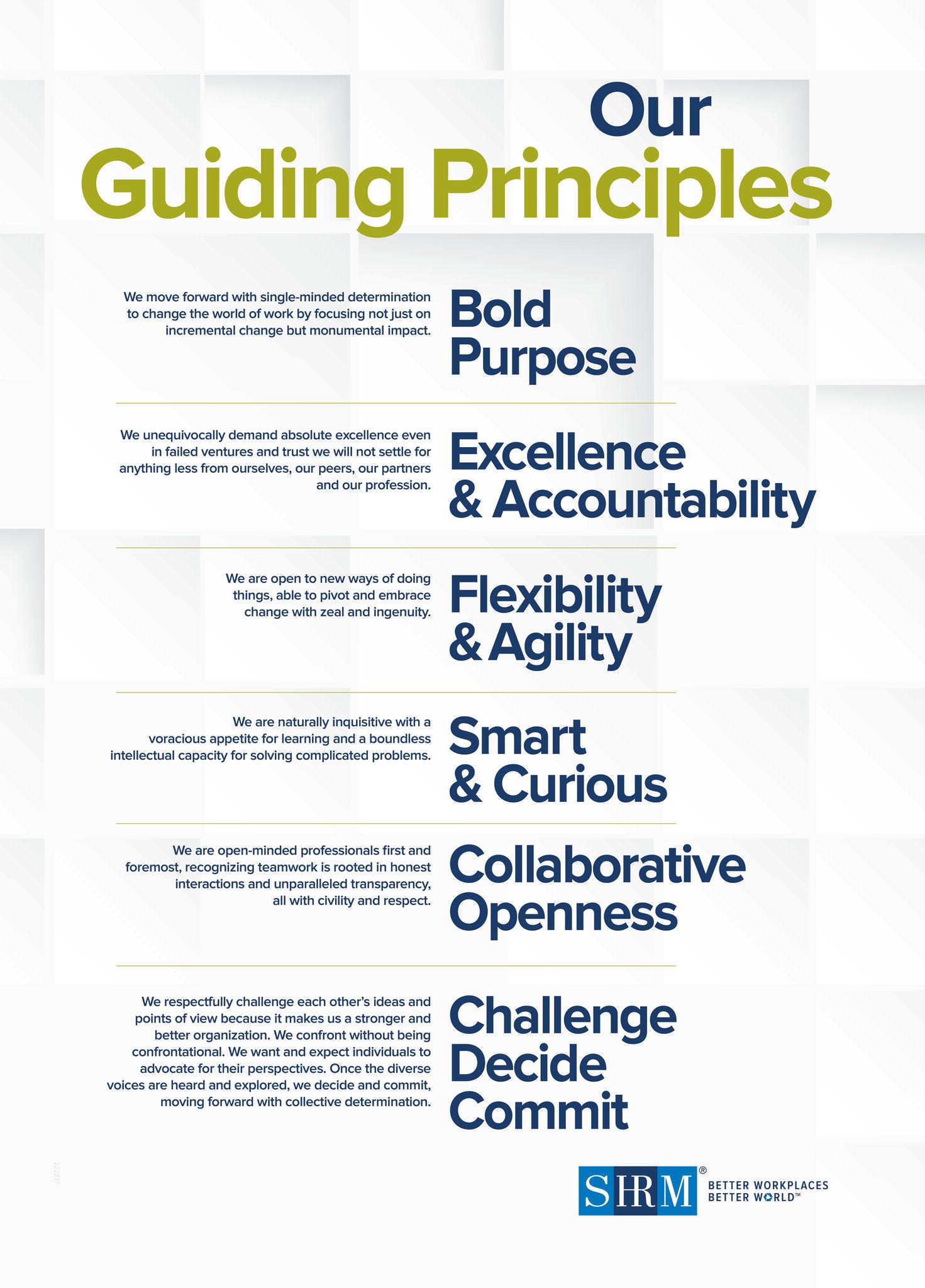 Guiding Principals Poster Light