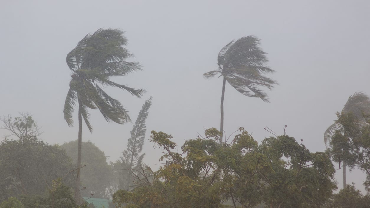 What HR Pros Should Know About Storm Preparedness