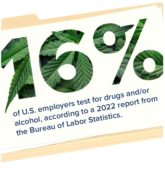 ATW_Infographics_marijuanaatwork_Graph1_560x610.png