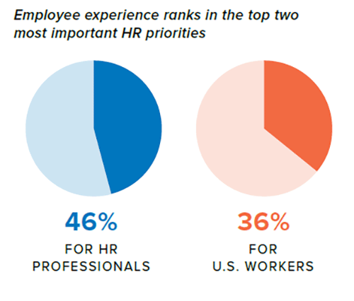 Employee Experience Circle Graph