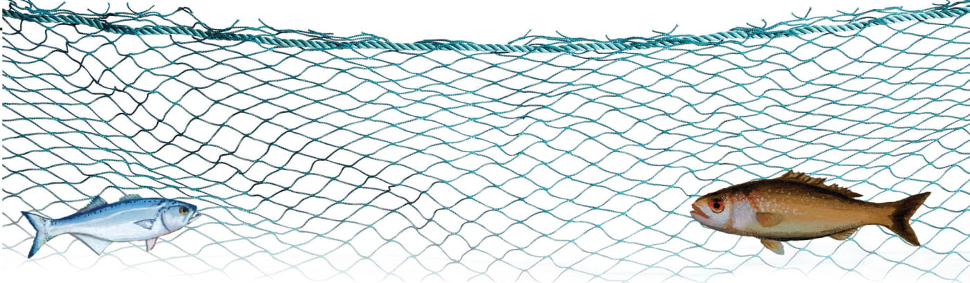 net and fish
