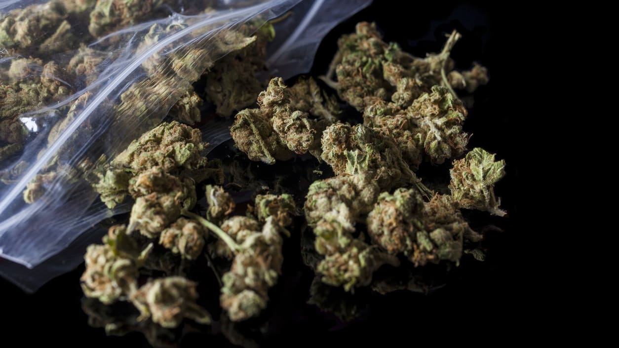 Marijuana in a plastic bag on a black background.