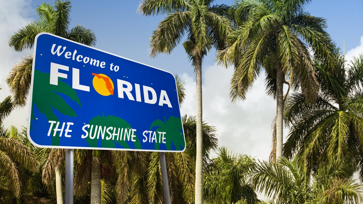 A welcome to florida sign in front of palm trees.