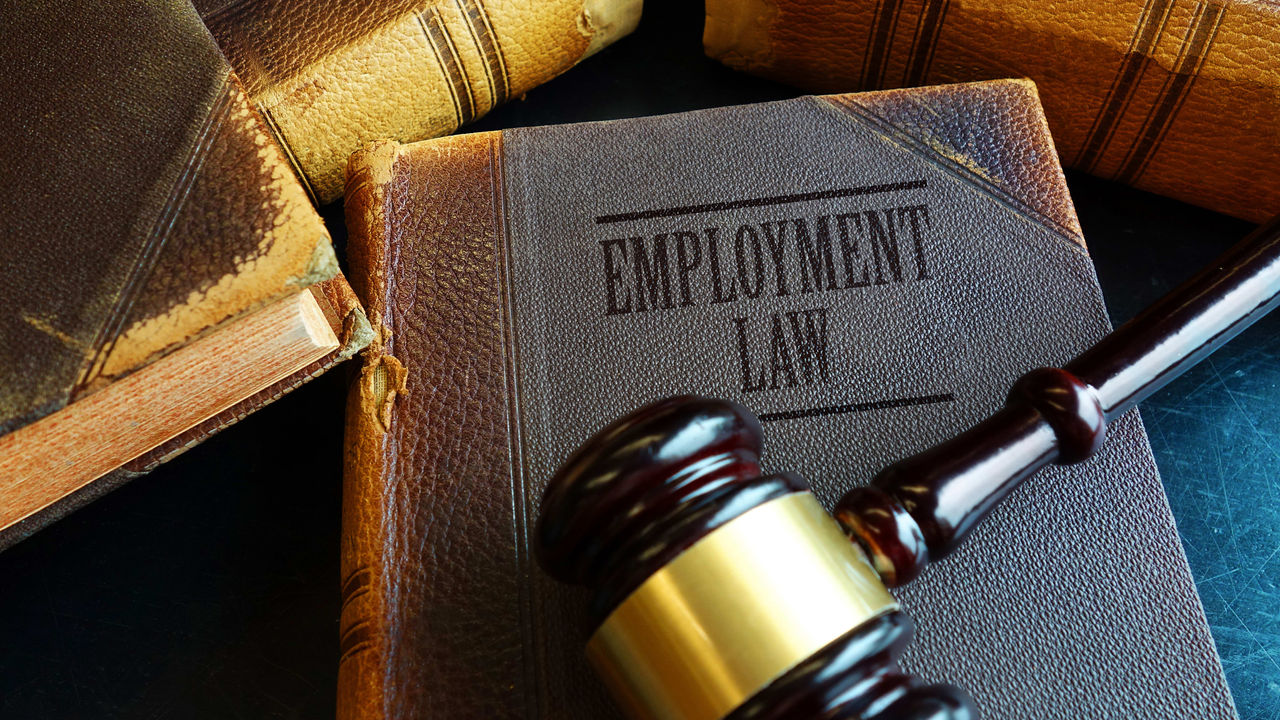 A gavel sits on top of a book with employment law written on it.