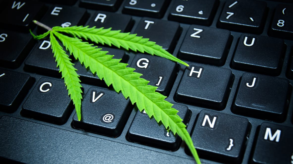 Marijuana leaf on a laptop keyboard.