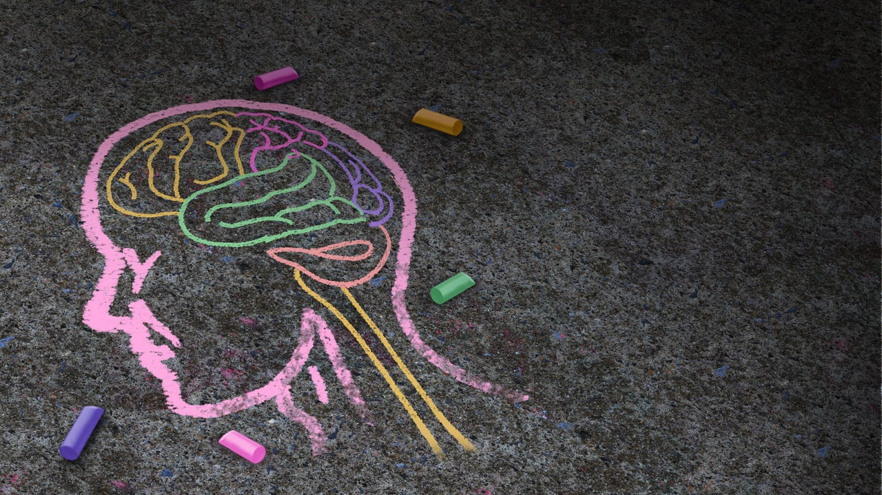 A chalk drawing of a brain on the ground.