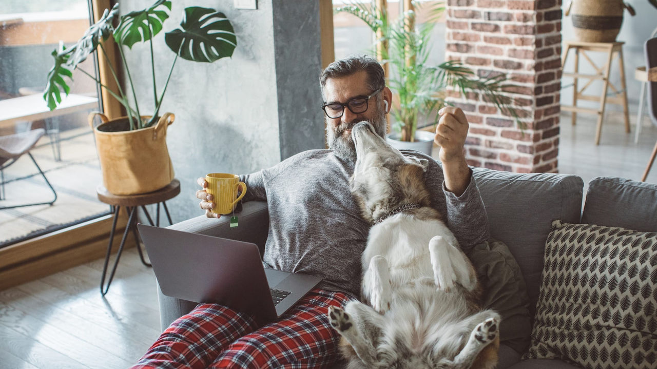 A man sitting on a couch with his dog and laptop.