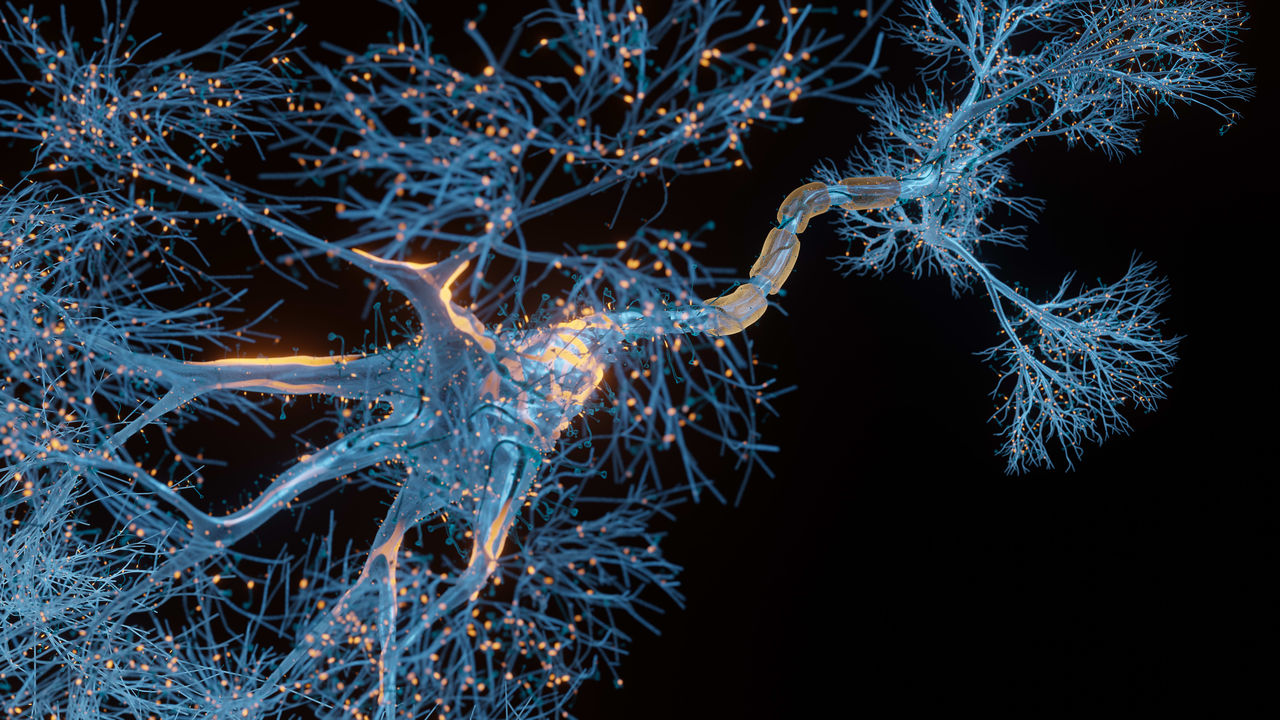 An image of a neuron in a blue light.