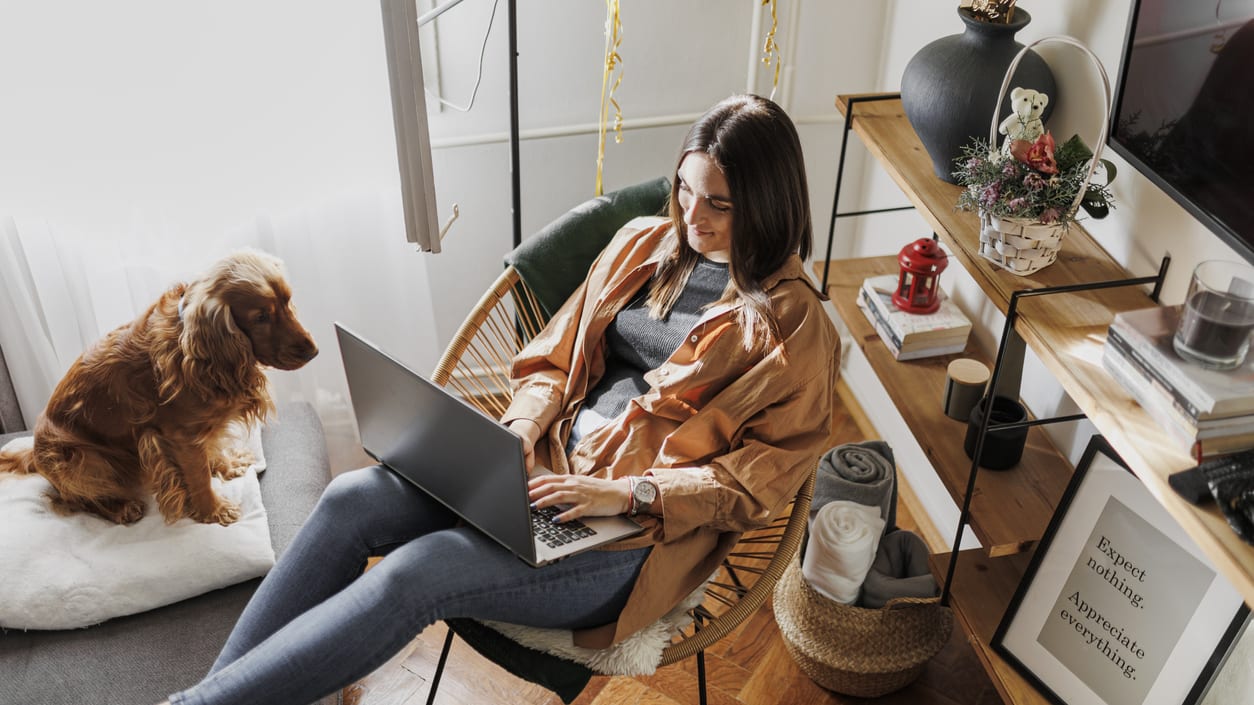 A woman sitting on a chair with a laptop and a dog.