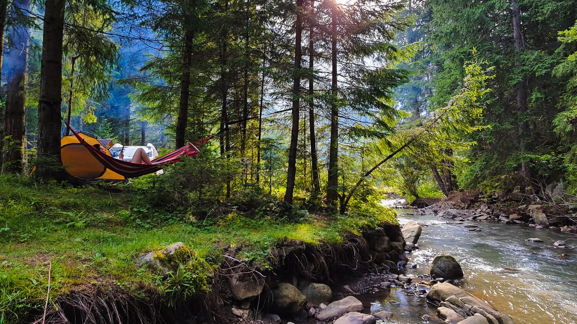 A hammock in a forest near a stream.