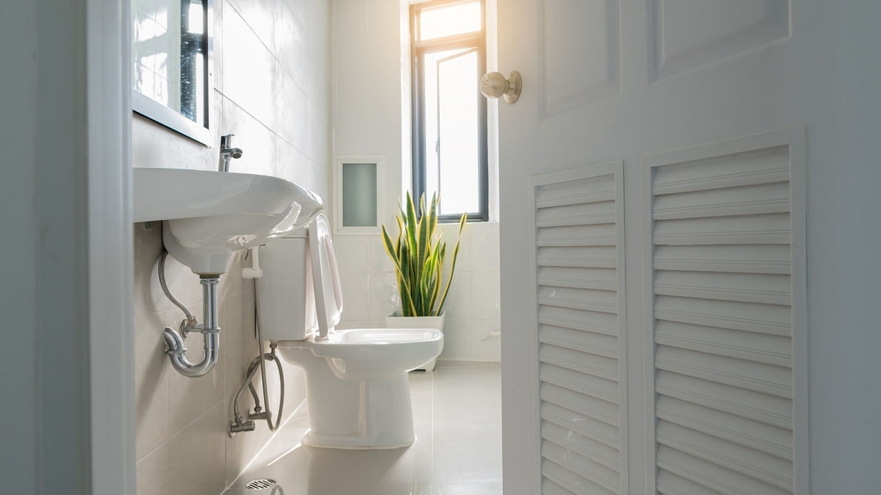 A white bathroom with a toilet and a plant.