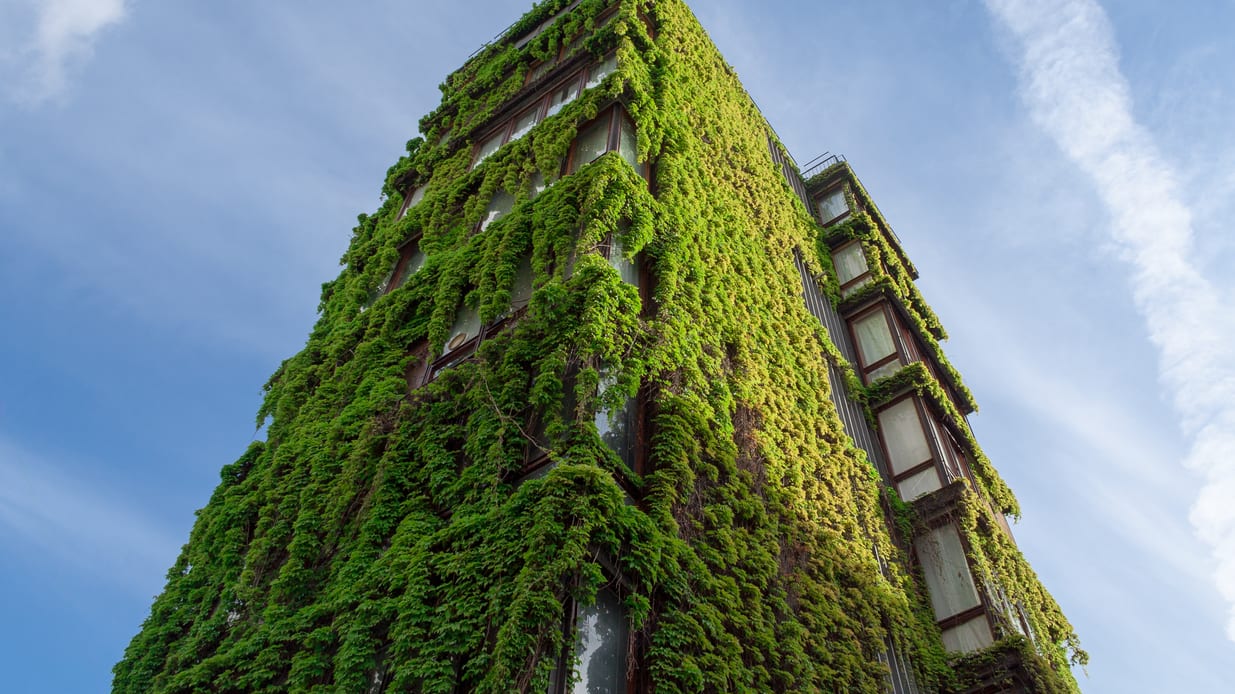 A tall building covered in moss.