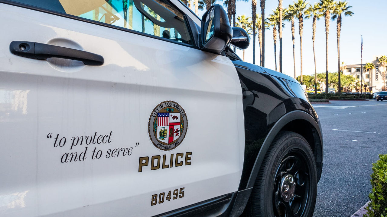 A police car parked in front of palm trees.