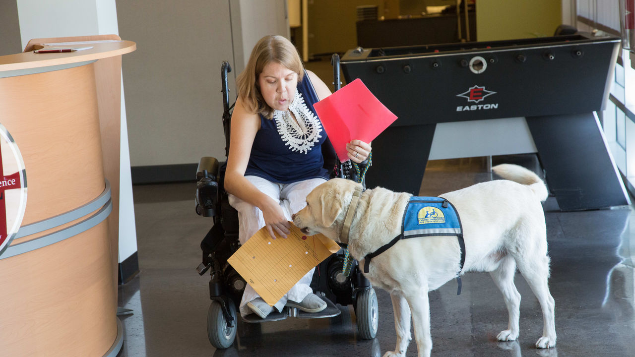 A woman in a wheelchair with a labrador retriever.