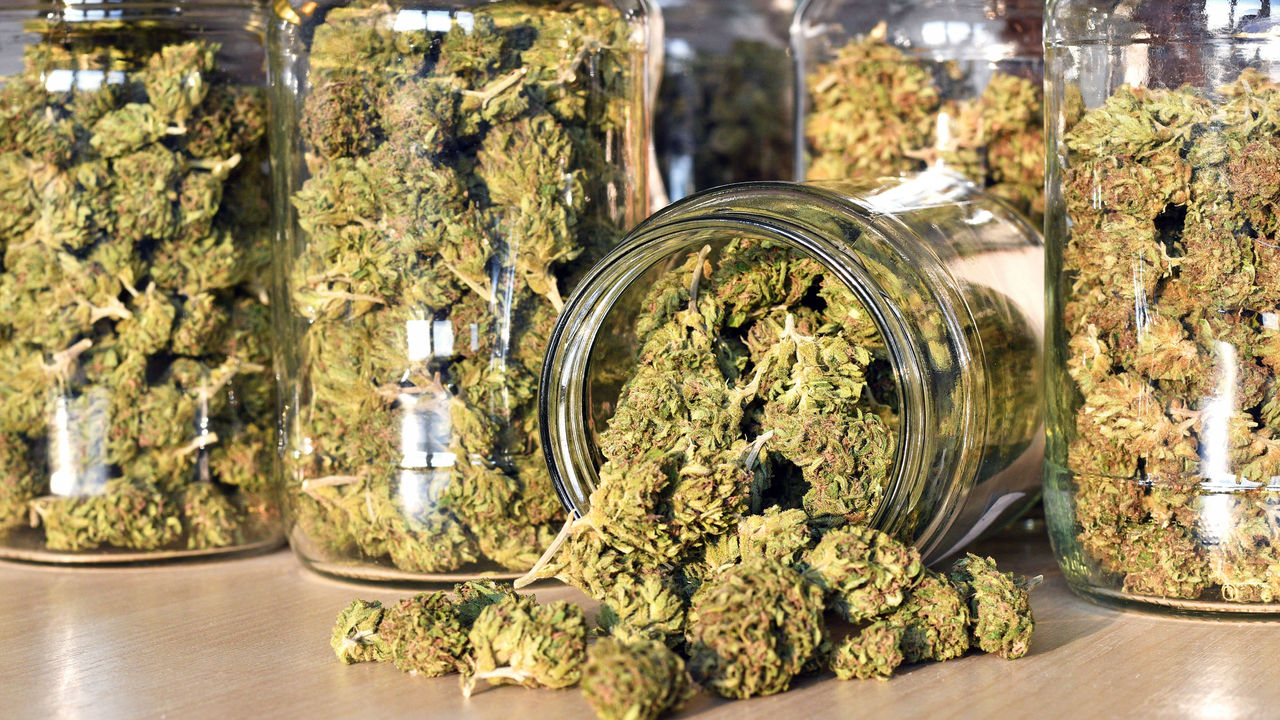 Marijuana in glass jars on a table.