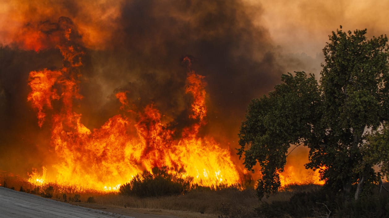 A wildfire burns near a road in california.
