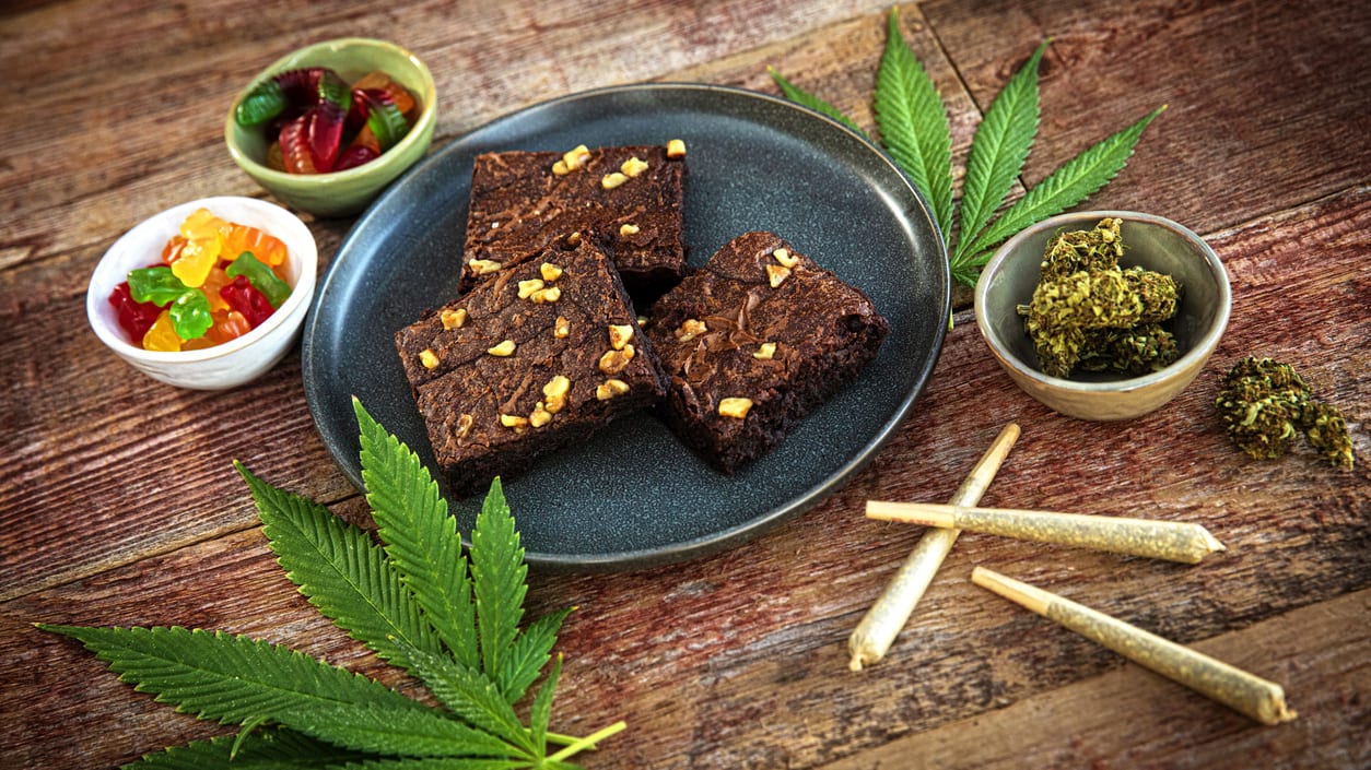 Cbd brownies on a plate next to a bowl of marijuana.