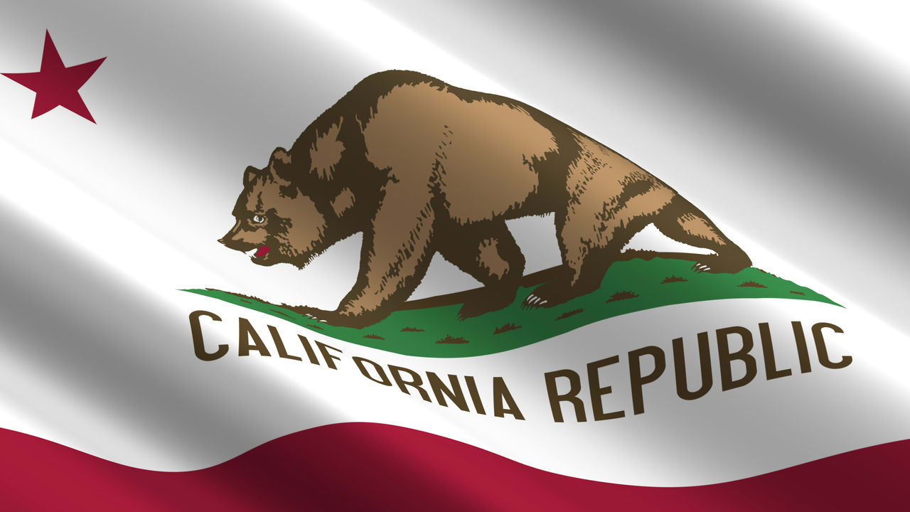 The california flag with a bear on it.