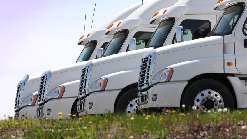 A row of white semi trucks parked in a field.