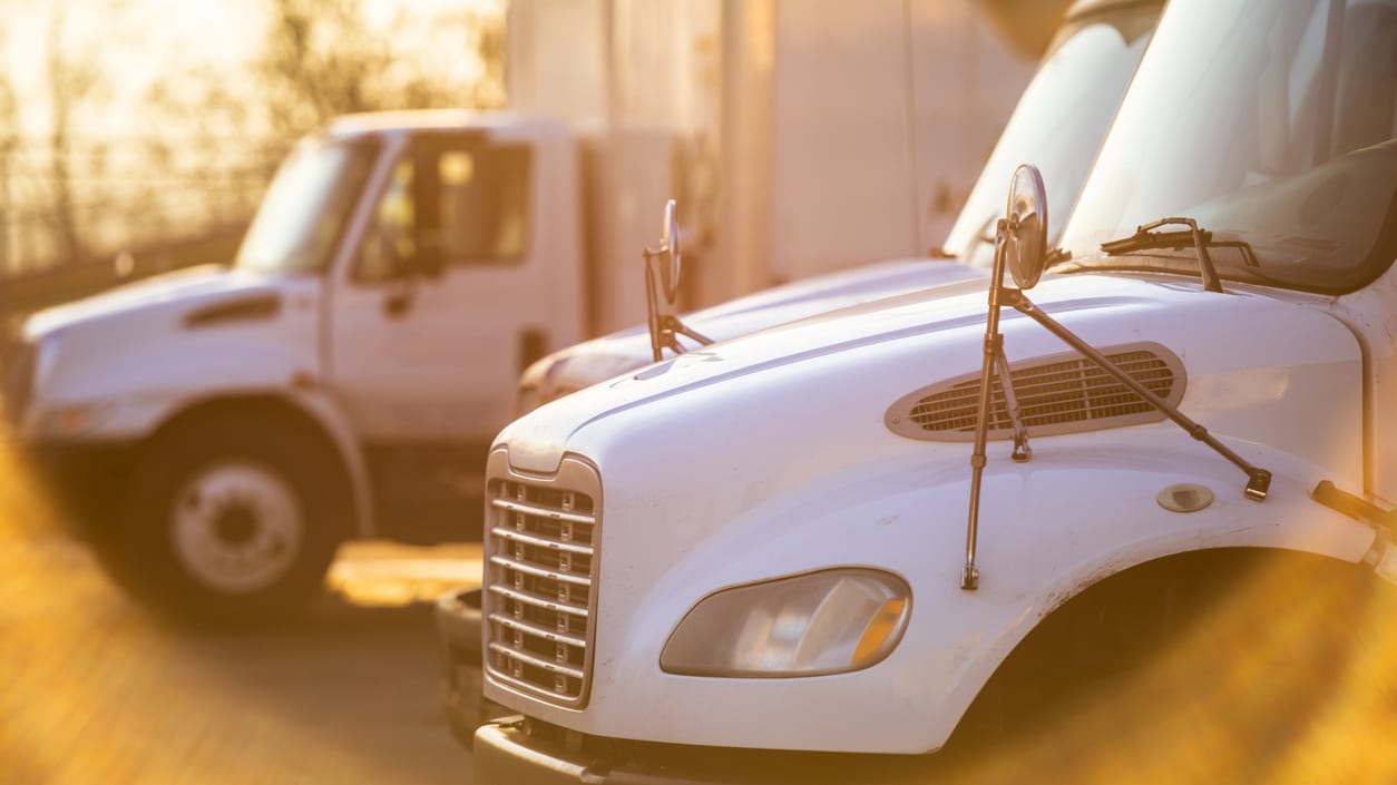 A row of white trucks parked in a parking lot.