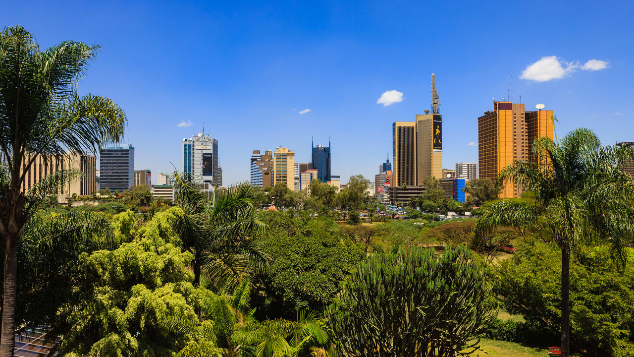 A view of the city of nairobi with palm trees in the background.