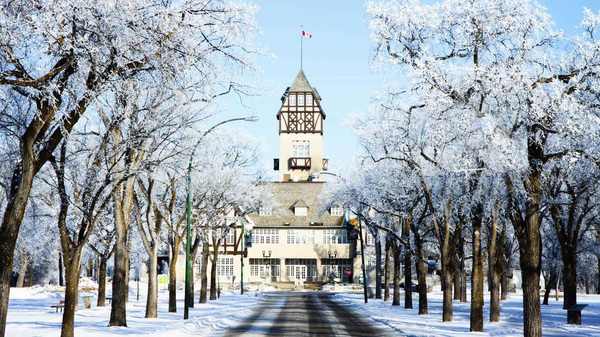 A street with trees covered in snow and a clock tower.
