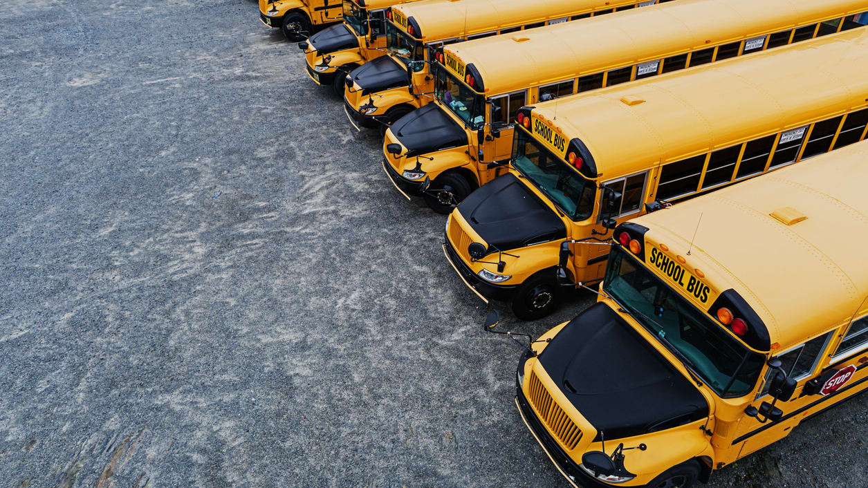 A row of yellow school buses parked in a parking lot.