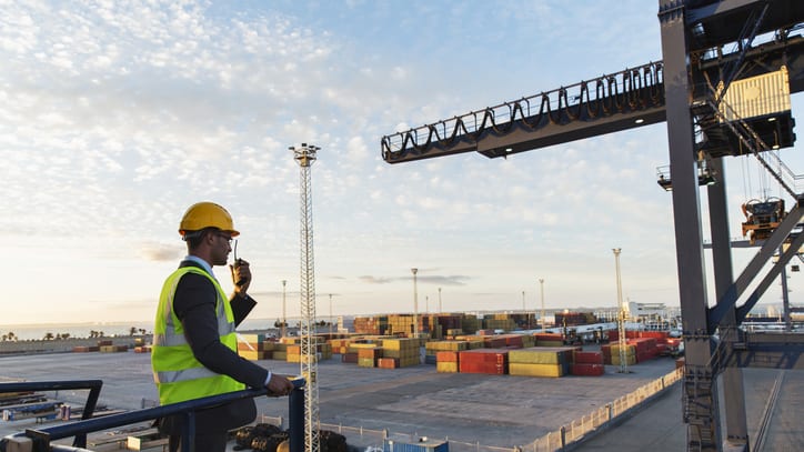 A worker standing on a platform at a port.
