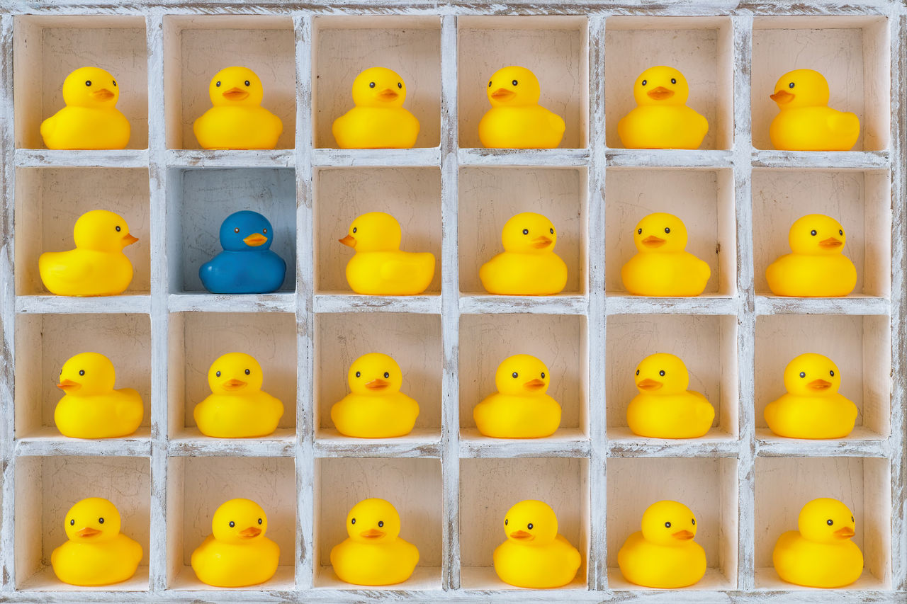 A collection of rubber ducks arranged in a grid of white cubbyholes, with one blue rubber duck among the yellow ones, symbolizing uniqueness or diversity in a group