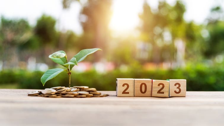 A wooden block with the word 2023 and a plant on it.