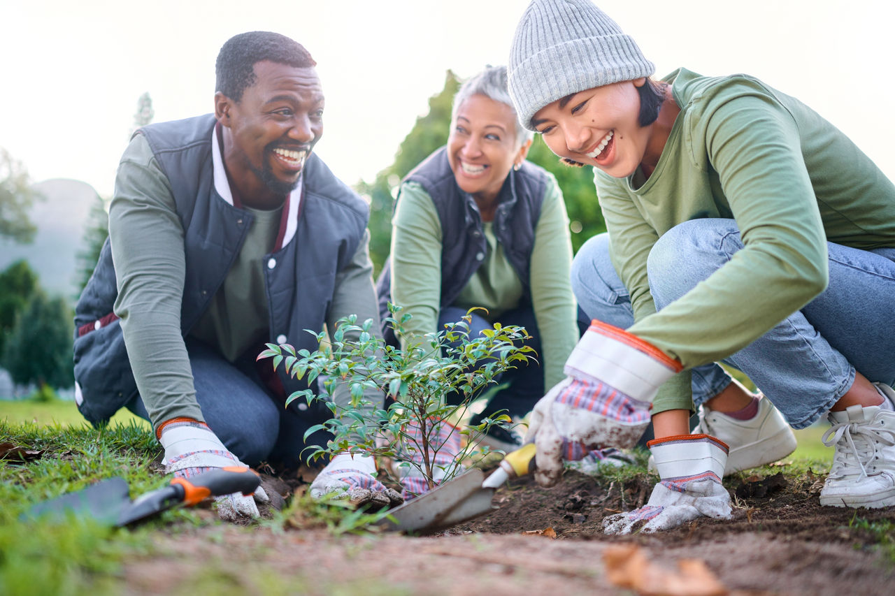group of three people smiling while planting a tree together in a park