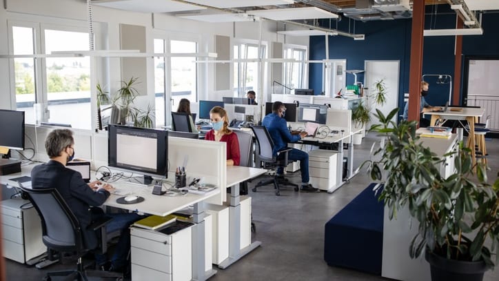 A group of people working at desks in an open office.