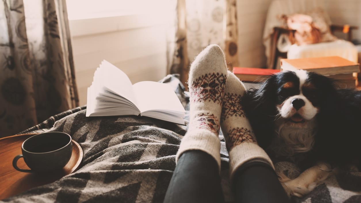 A dog laying on a bed with a cup of coffee and a book.