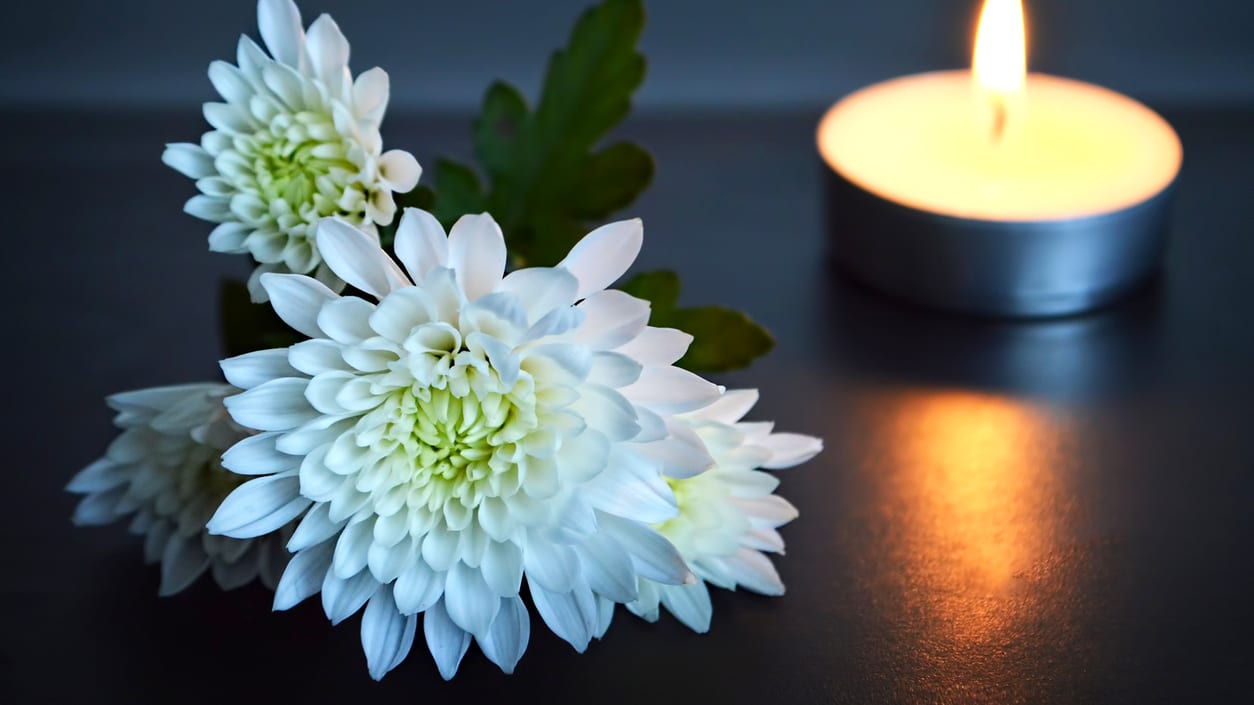 White chrysanthemums next to a candle.