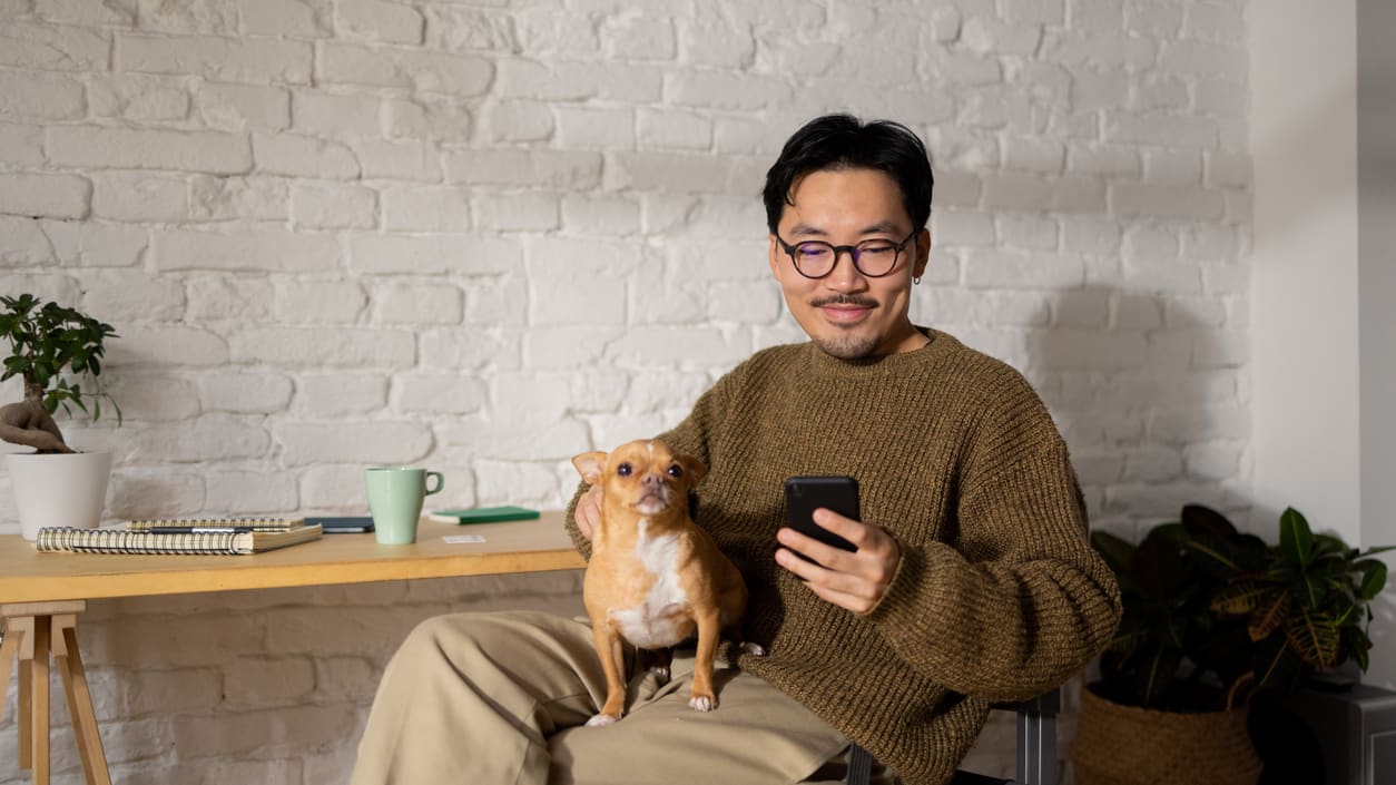 A man with a chihuahua holding a phone while sitting on a chair.