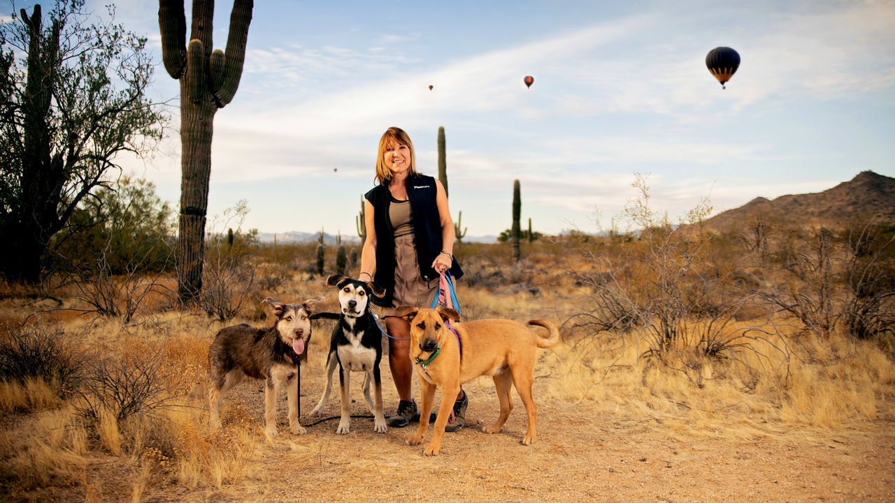 A woman standing in the desert with dogs and hot air balloons.