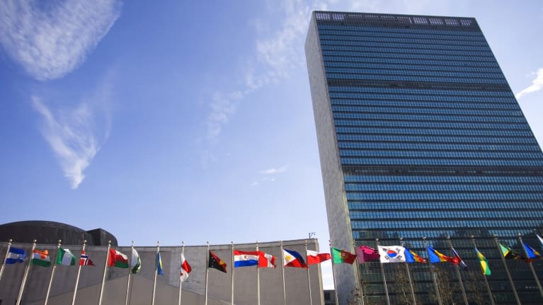 The united nations building has many flags flying in front of it.