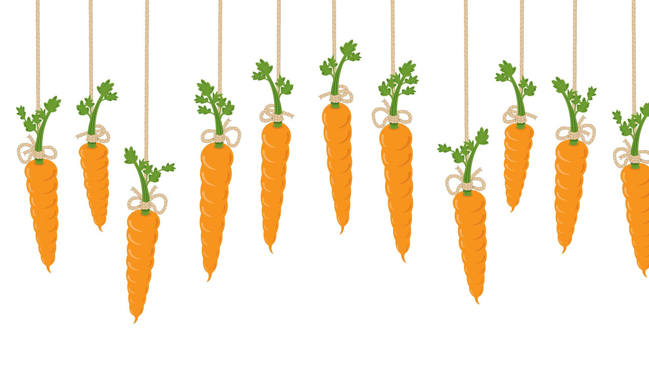 Carrots hanging from strings on a white background.