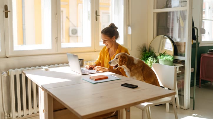 A woman sitting at a desk with a dog in front of a window.