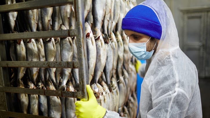 A worker in a protective suit inspects a rack of fish.